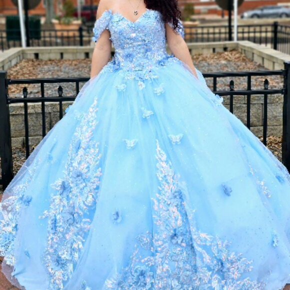 A beautiful ladivine ball gown/ quinceneara gown - Picture 3 of 5